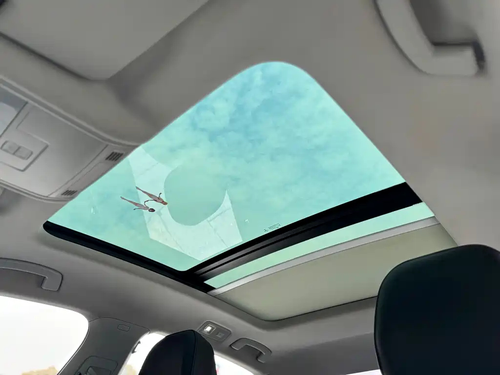 VOLKSWAGEN SAGITAR 2020