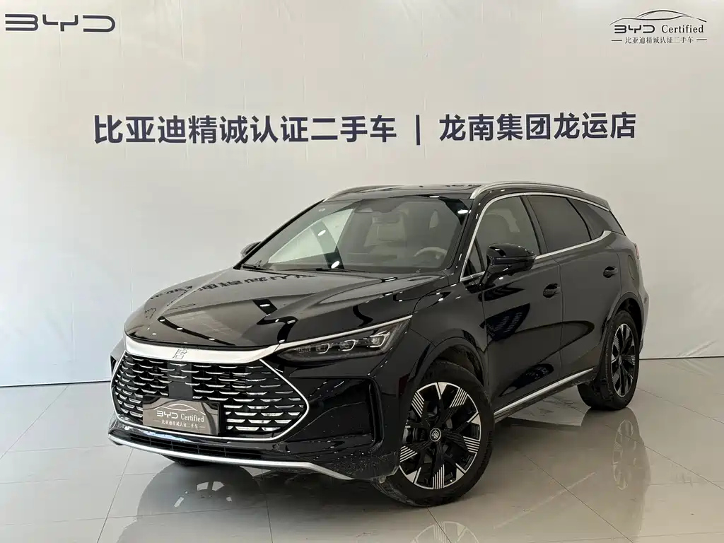 BYD TANG NEW ENERGY 2024