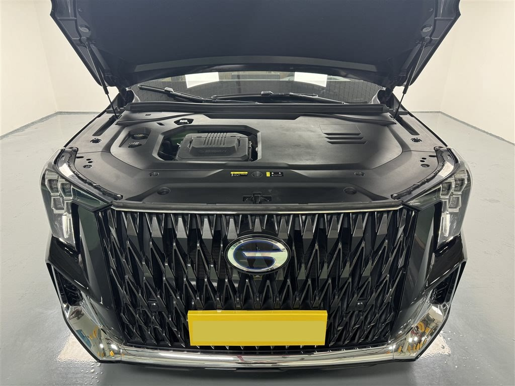 TRUMPCHI ES9 2024