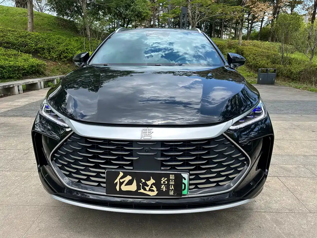 BYD TANG NEW ENERGY 2024