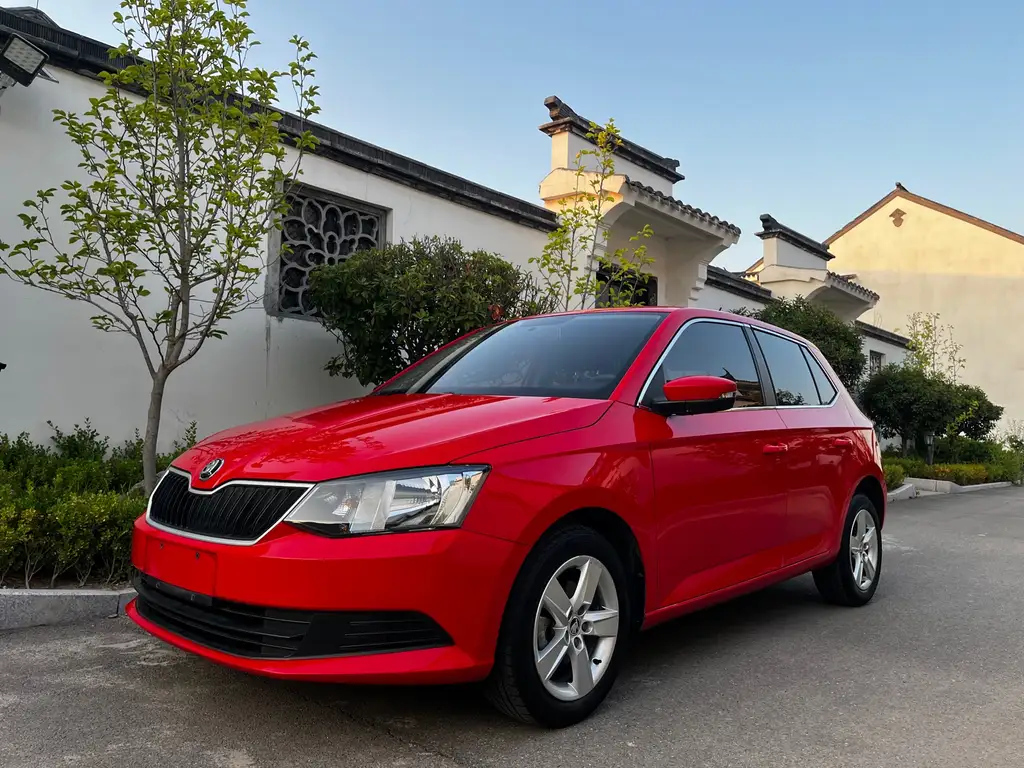 SKODA FASCIA 2017