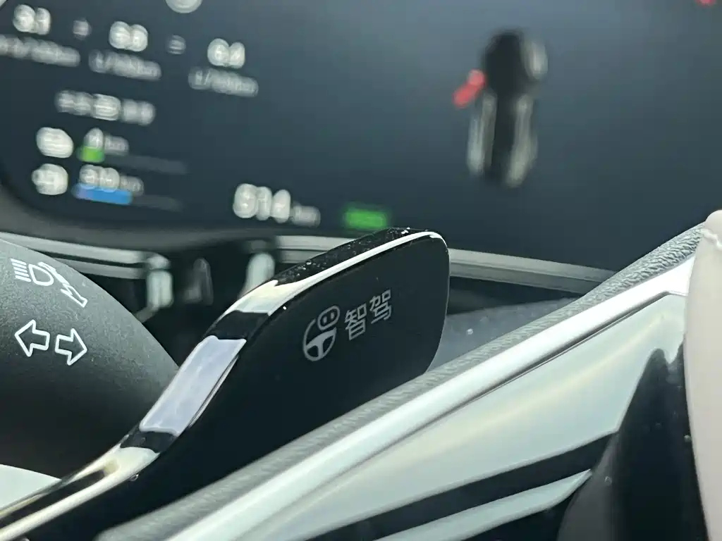 BYD TANG NEW ENERGY 2025