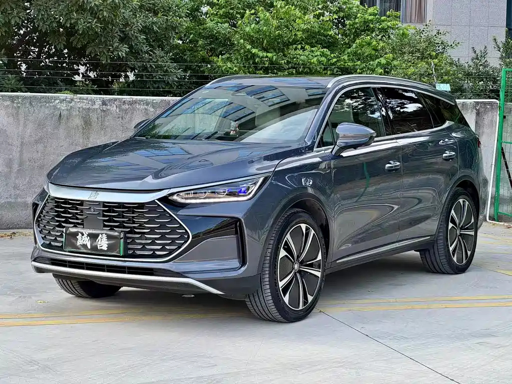 BYD TANG NEW ENERGY 2022