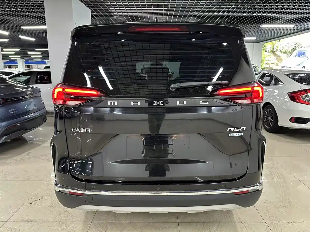 MAXUS OTHER 2023