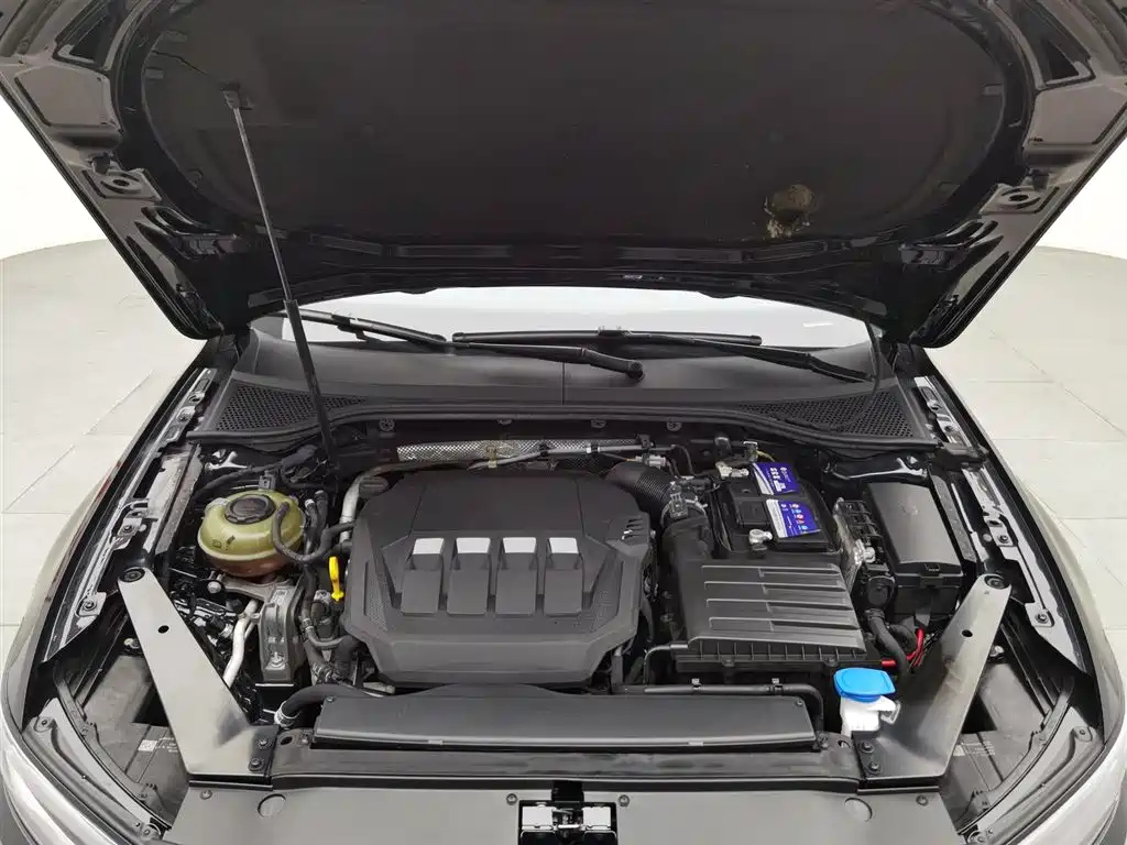VOLKSWAGEN MAGOTAN 2020