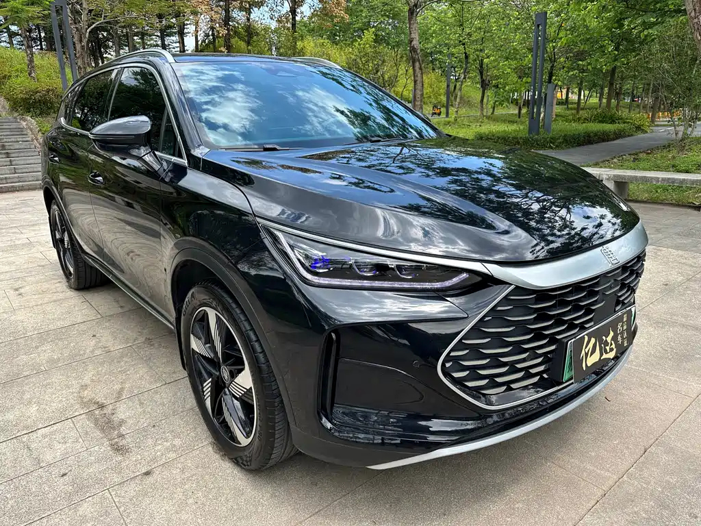 BYD TANG NEW ENERGY 2024
