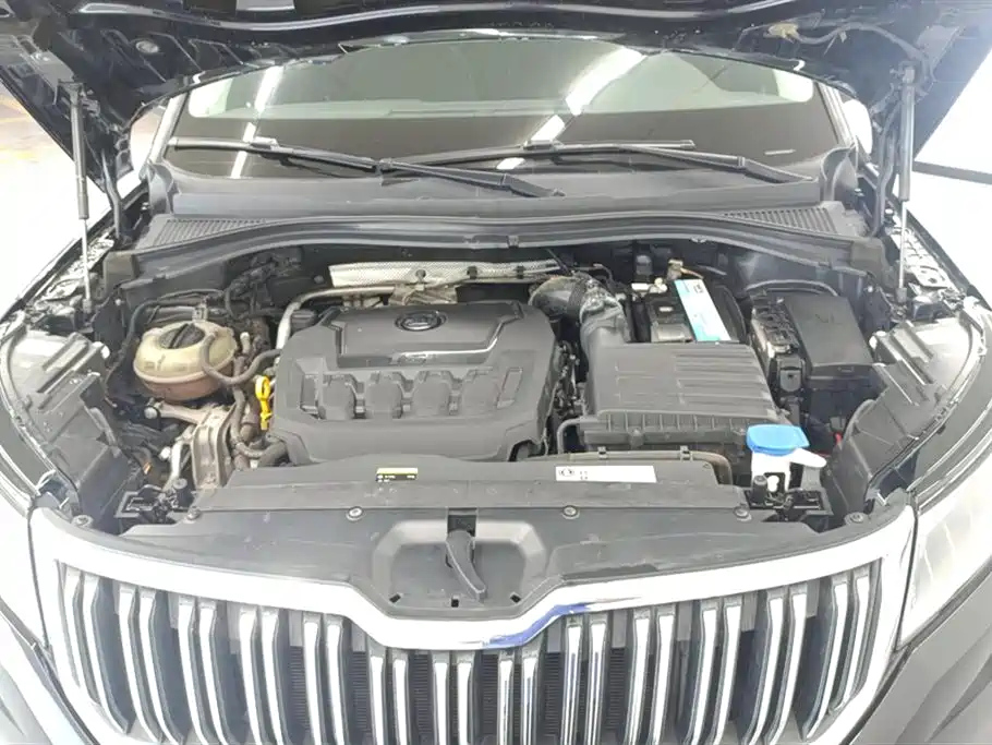 SKODA KODIAQ 2019