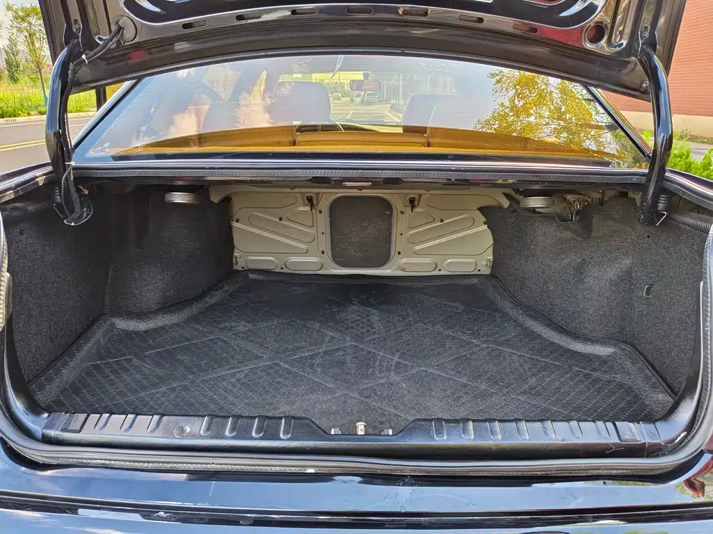 VOLKSWAGEN OTHER 2008