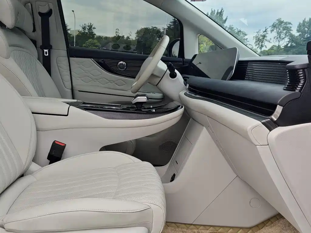 DONGFENG OTHER 2024