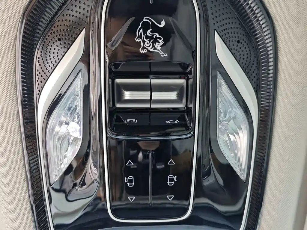 DONGFENG OTHER 2024