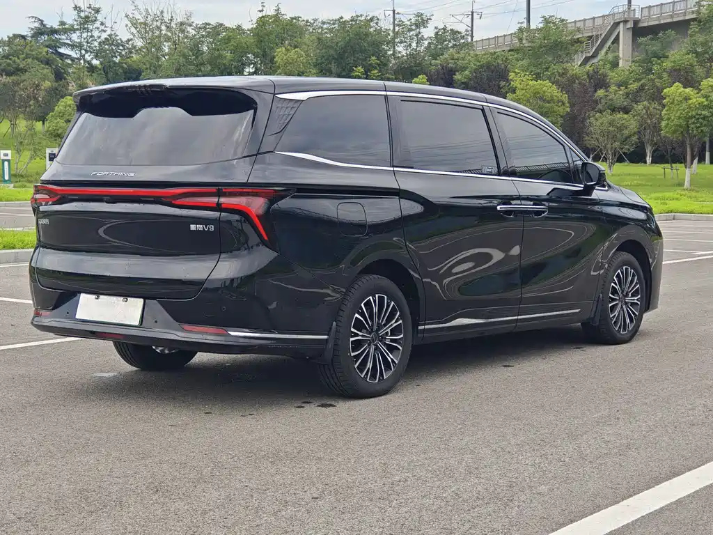 DONGFENG OTHER 2024