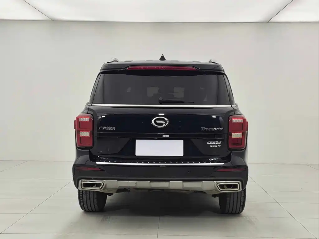 TRUMPCHI GS8 2020