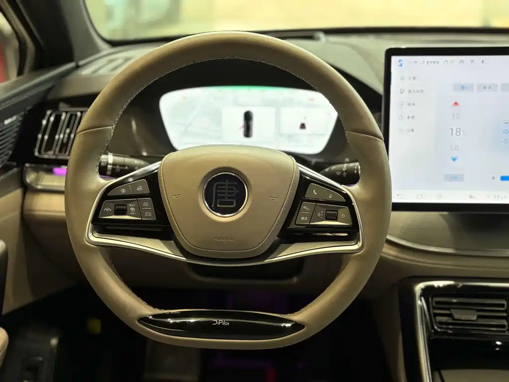BYD TANG NEW ENERGY 2024