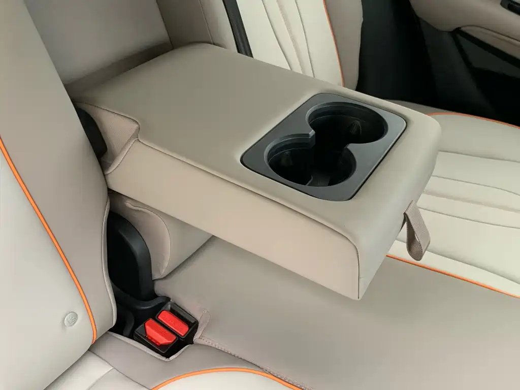 BYD SONG PRO NEW ENERGY 2024