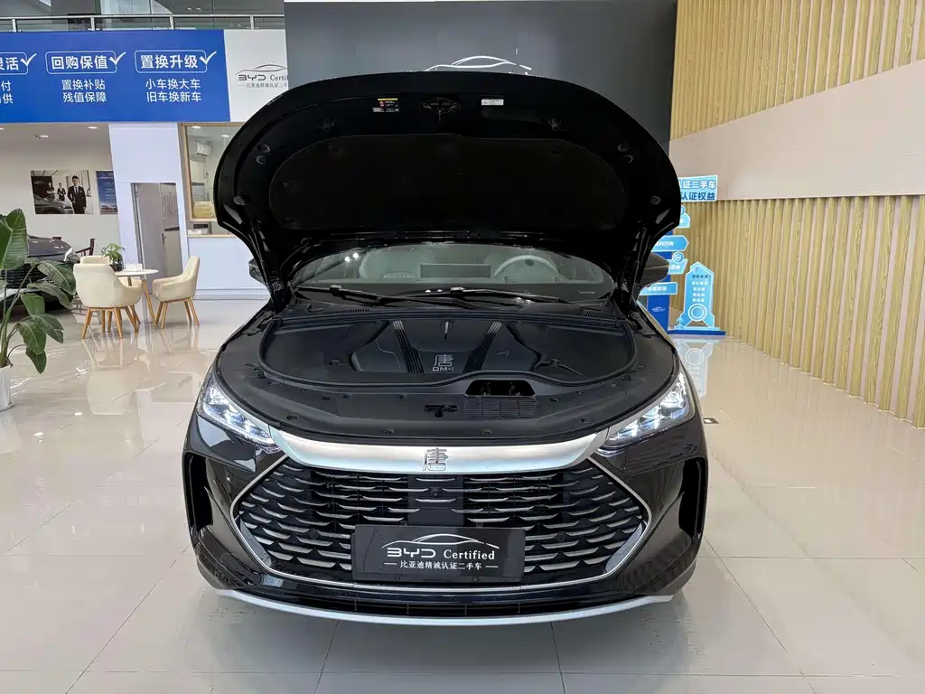 BYD TANG NEW ENERGY 2024