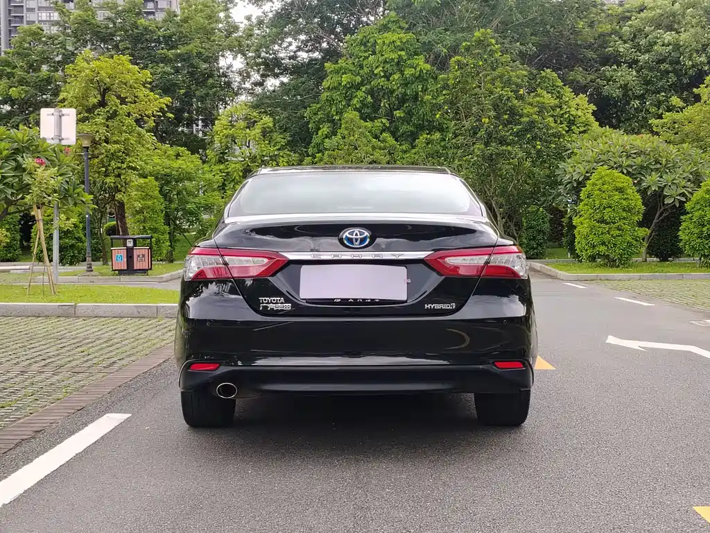TOYOTA CAMRY 2019