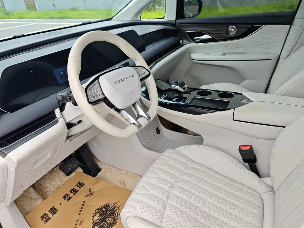 DONGFENG OTHER 2024