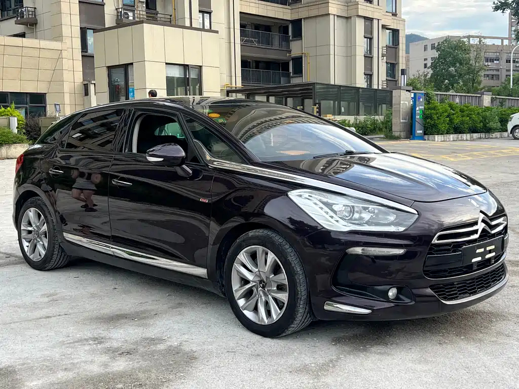 Аукционный лист DS 5 2014