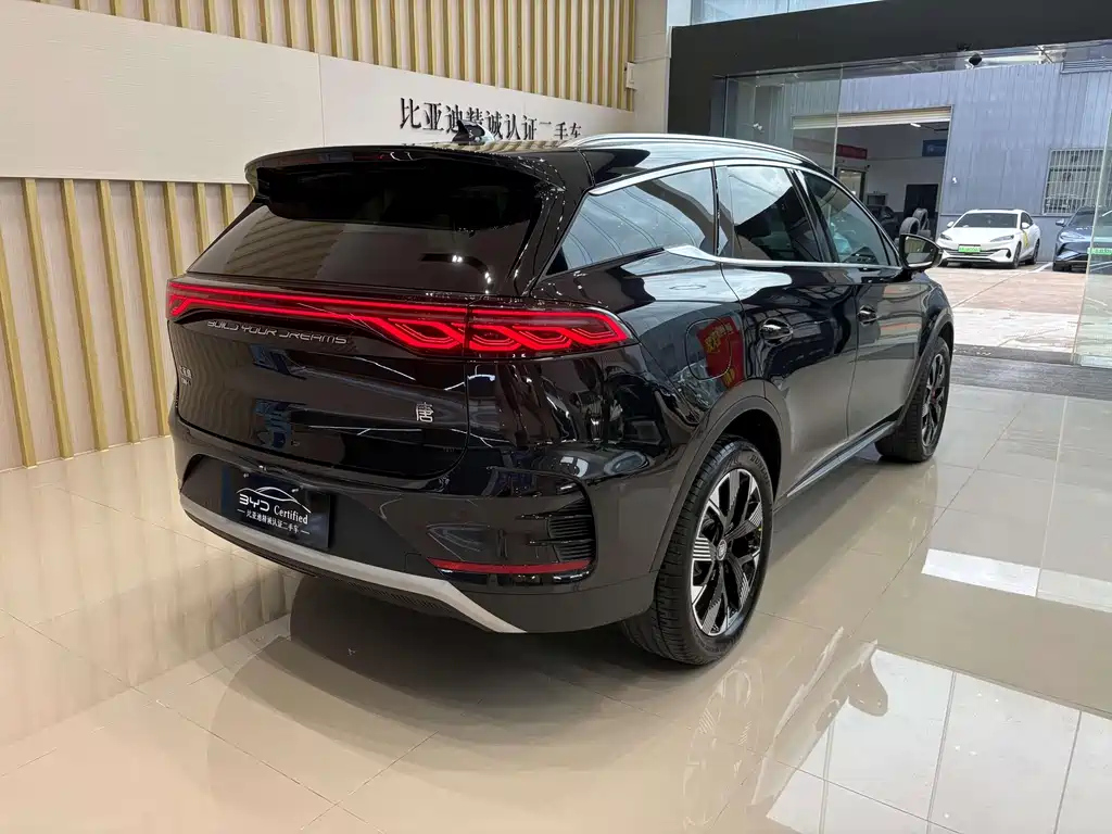 BYD TANG NEW ENERGY 2024