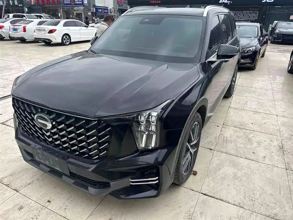 Аукционный лист TRUMPCHI GS8 2021