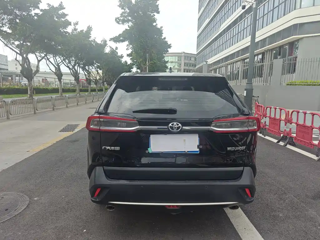 TOYOTA WILDLANDER 2021