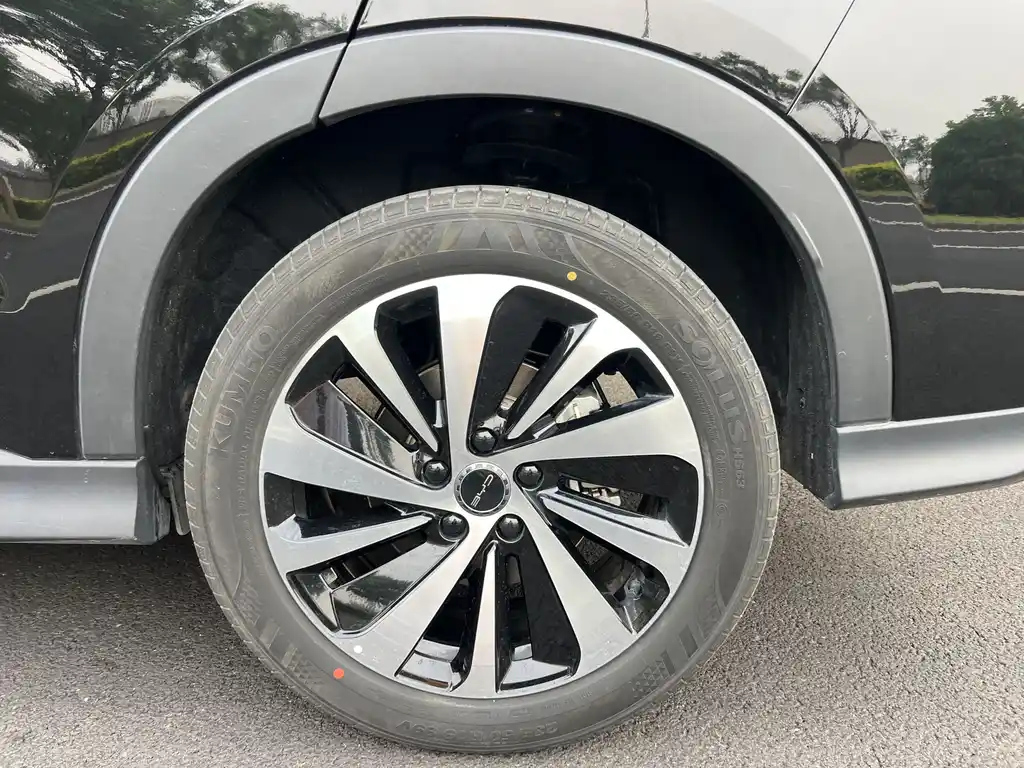 BYD SONG PLUS NEW ENERGY 2024