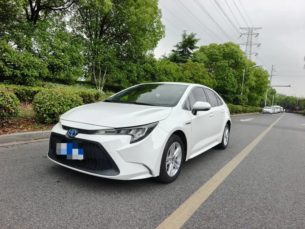 TOYOTA RALINK 2022