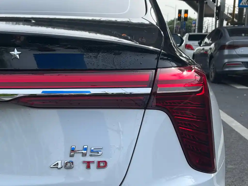 HONGQI H5 2024