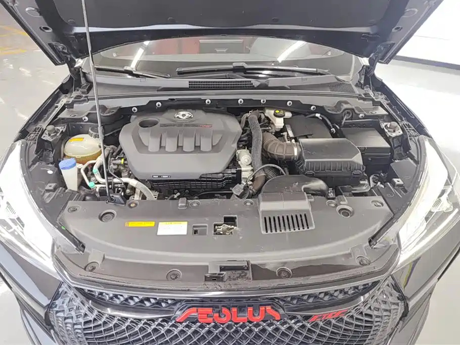 DONGFENG AEOLUS 2021