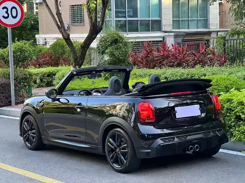 MINI OTHER 2022