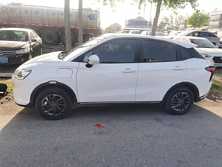 NETA AUTO V  2022 YEAR  300 LITE LFP 2022