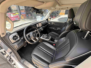 TANK 300 2021 YEAR EDITION 2.0T 2021