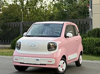 Заказать BESTURN PONY