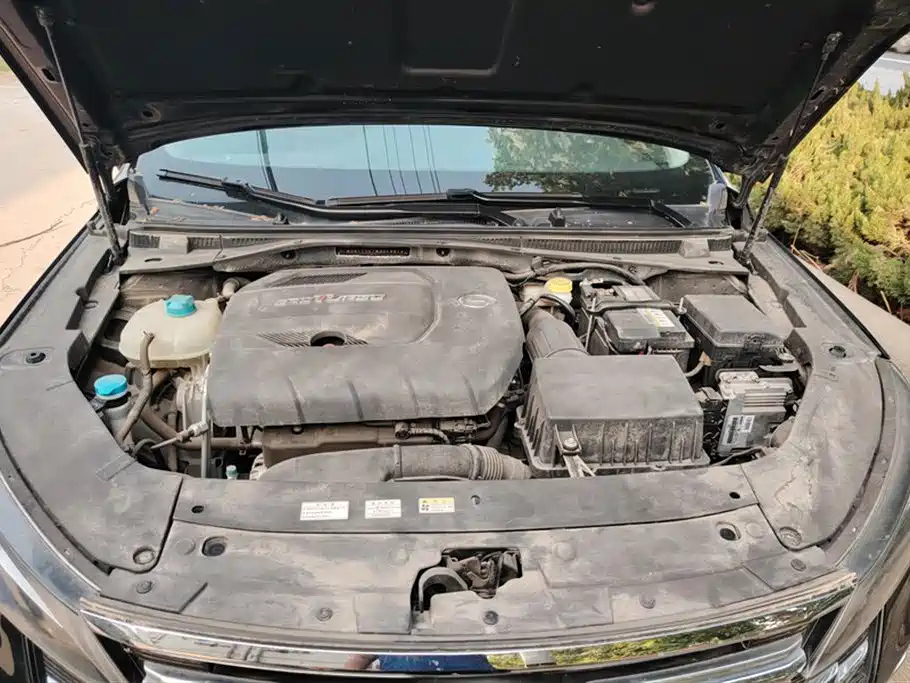 TRUMPCHI GA6 2019