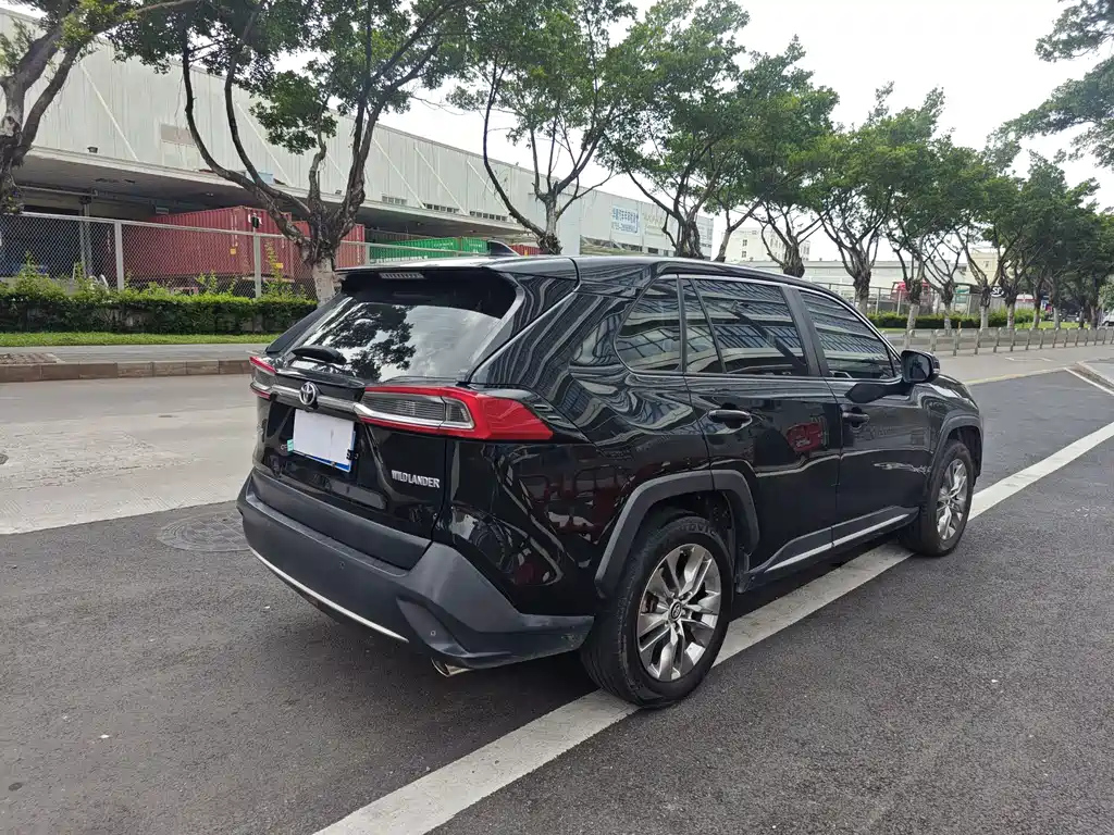 TOYOTA WILDLANDER 2021