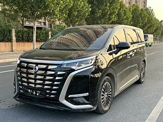 DENZA D9