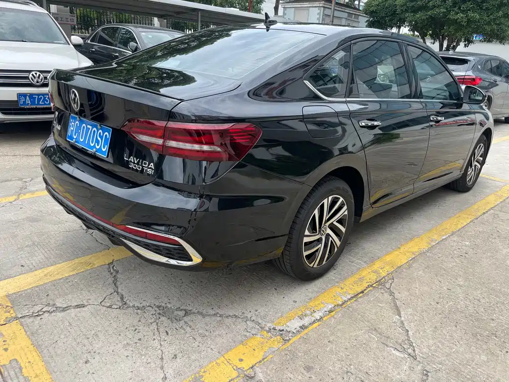 VOLKSWAGEN LAVIDA 2024