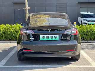 TESLA MODEL 3  2021 YEAR STANDARD RANGE  UPGRADED EDITION 3D6 2021