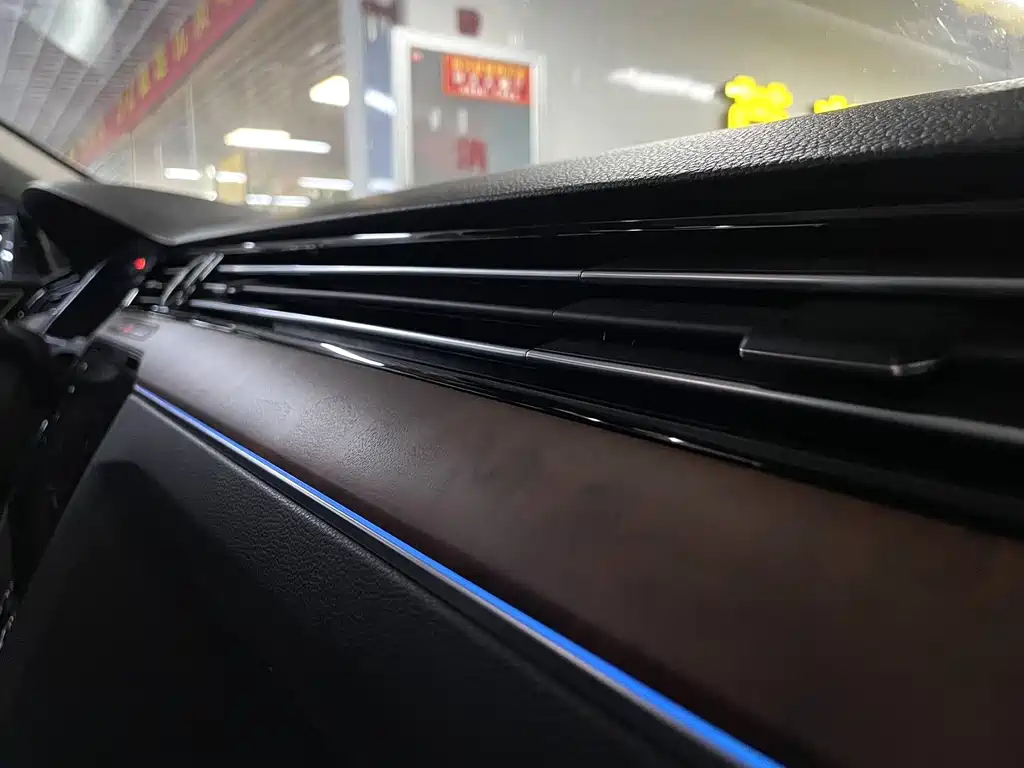 VOLKSWAGEN MAGOTAN 2019