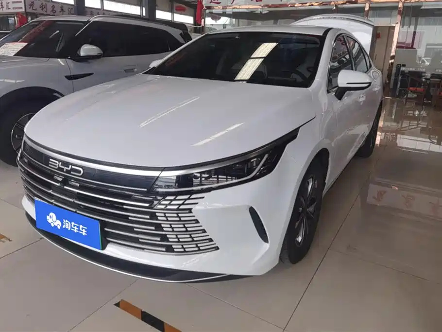 BYD DESTROYER 05 2024