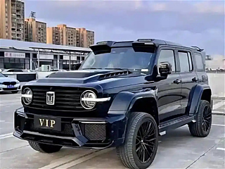 tank 300