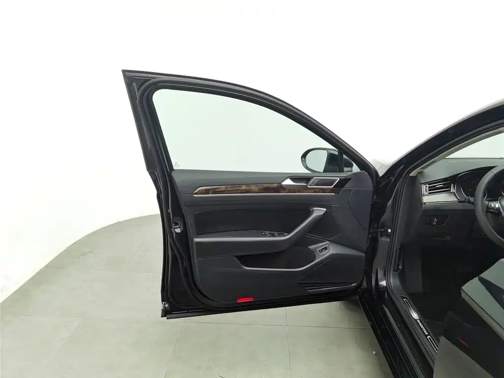 VOLKSWAGEN MAGOTAN 2019