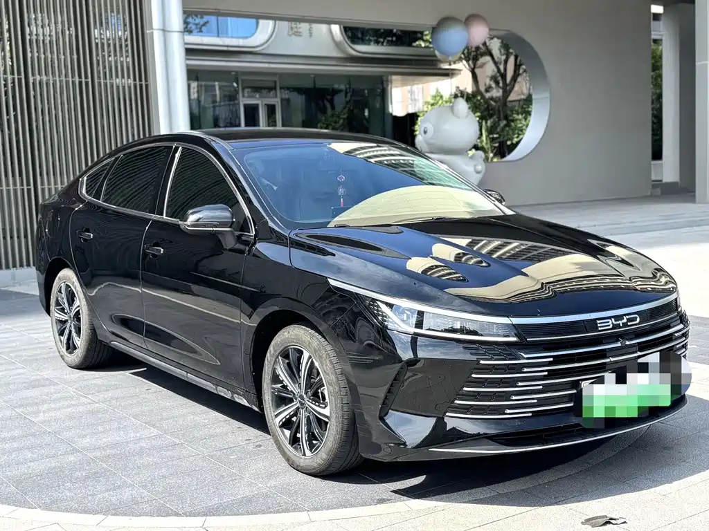 BYD DESTROYER 05 2023