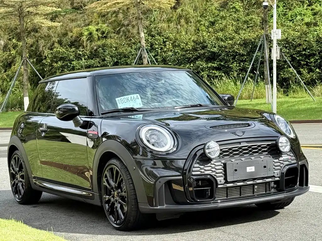 MINI OTHER 2023