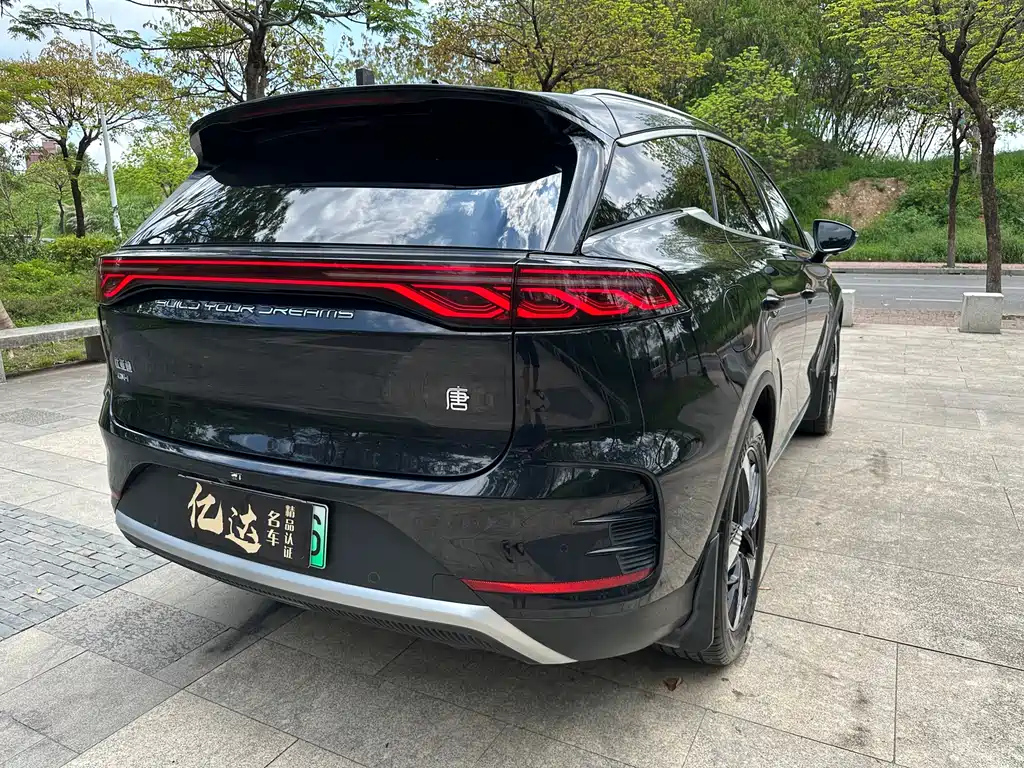 BYD TANG NEW ENERGY 2024