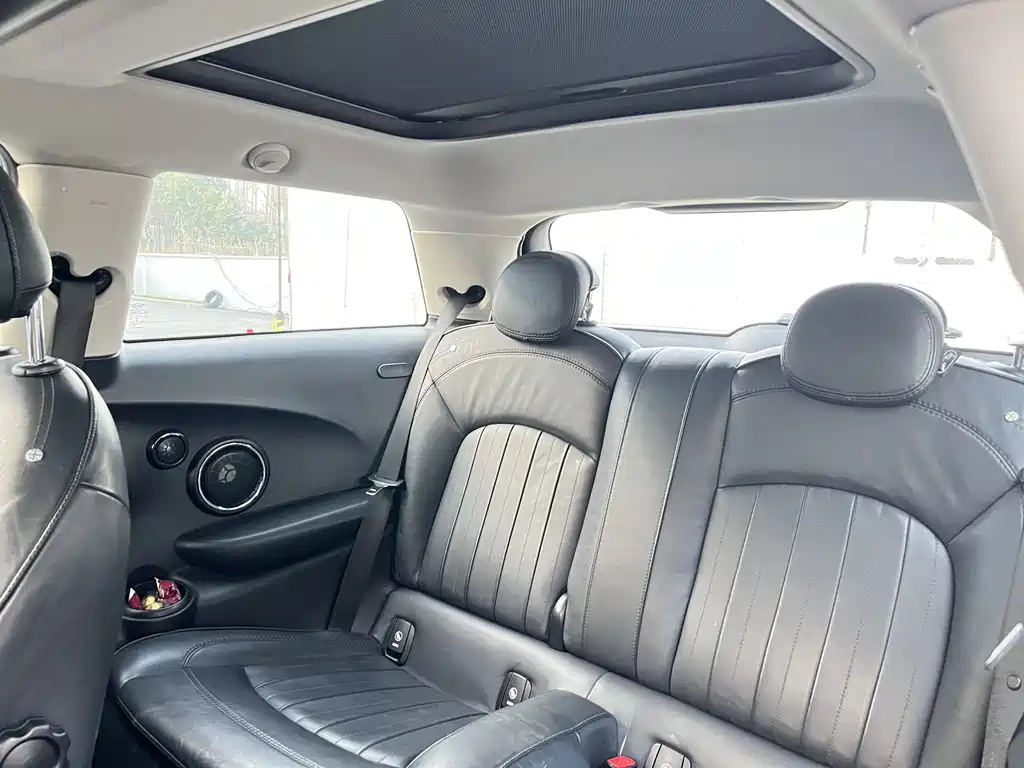 MINI OTHER 2020