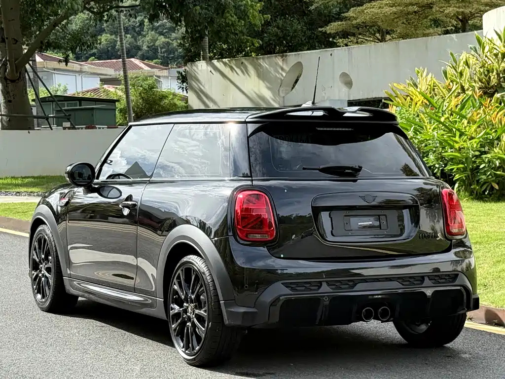 MINI OTHER 2023