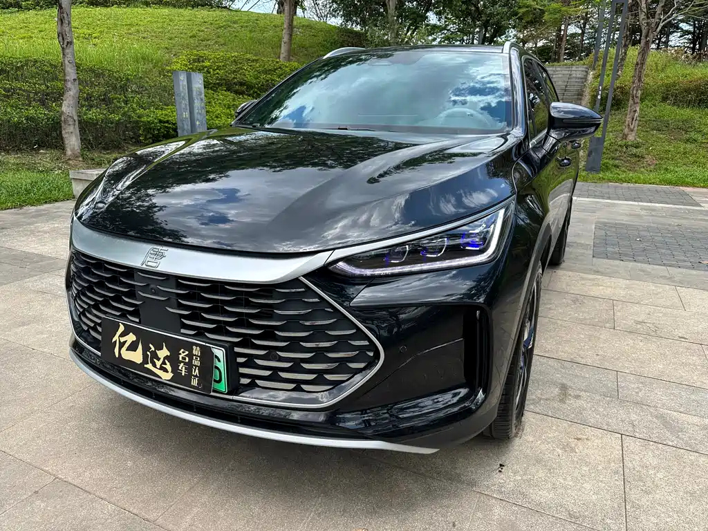 BYD TANG NEW ENERGY 2024