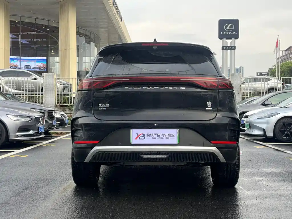 BYD TANG NEW ENERGY 2025