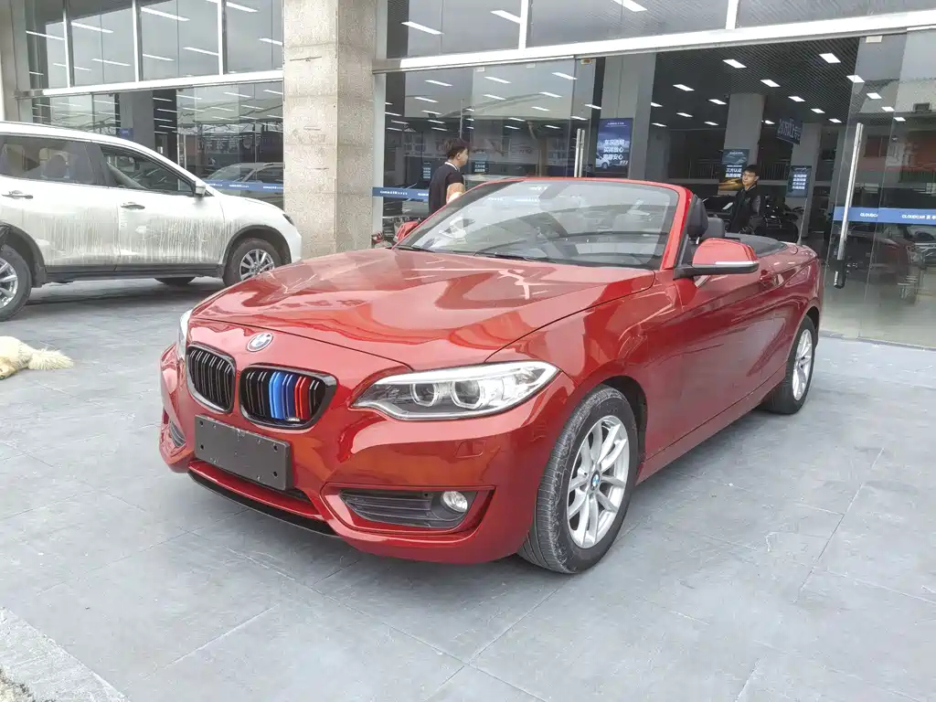 BMW 2-SERIES 2015